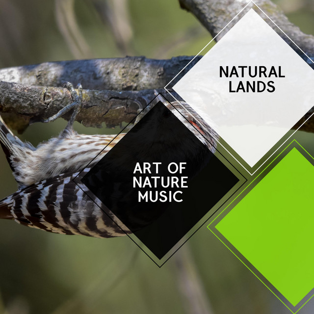 Art of Nature Music - Natural Lands cover art