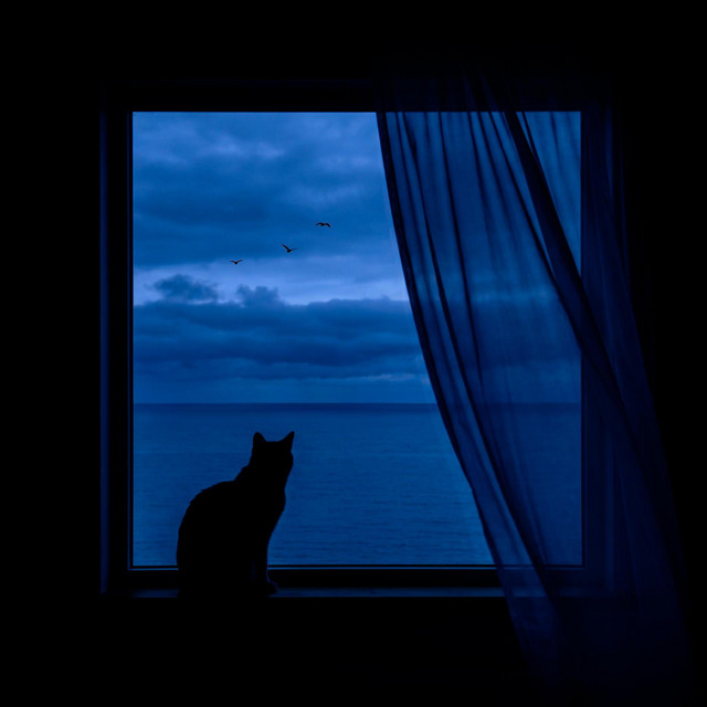 Blue