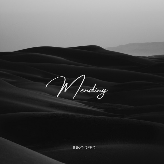 Mending - Single by Juno Reed | Spotify