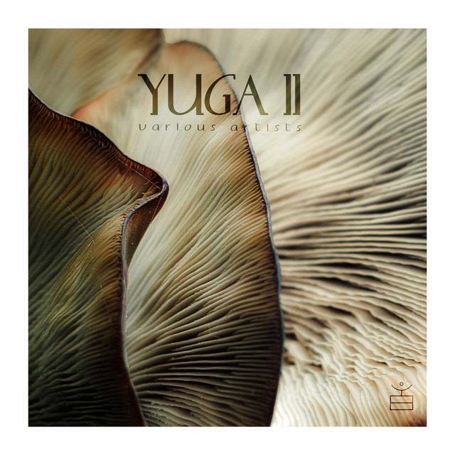 Yuga II cover
