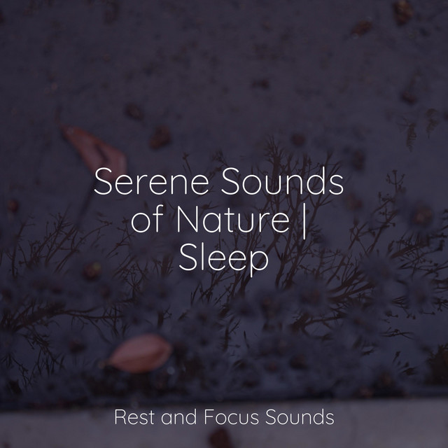 Serene Sounds of Nature | Sleep - Album by Música relaxante | Spotify