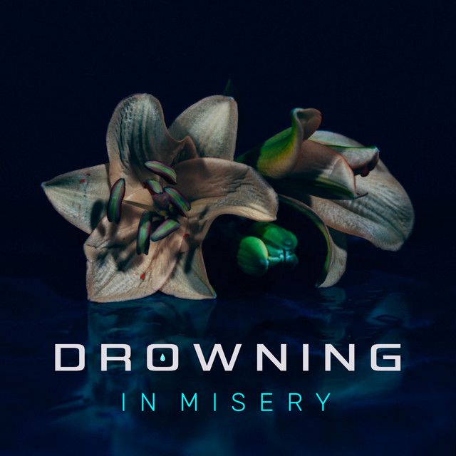 Drowning in Misery album image