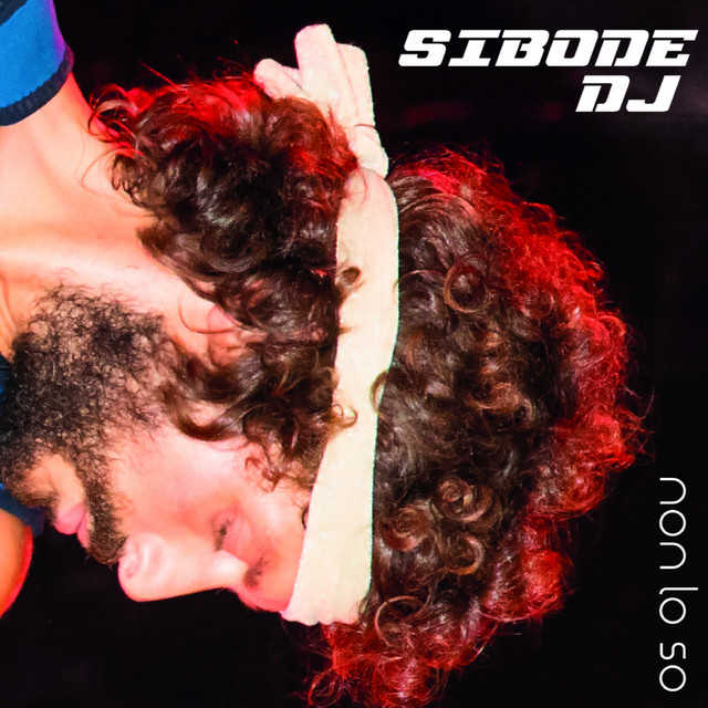 Non lo so cover art