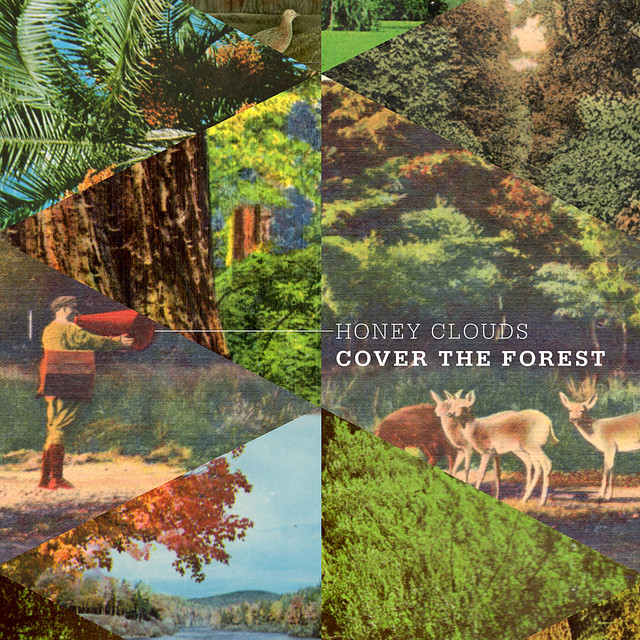 Cover The Forest cover art