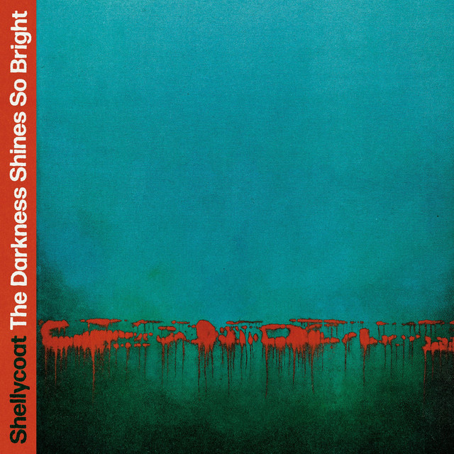 The Darkness Shines So Bright cover art