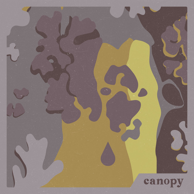 canopy cover