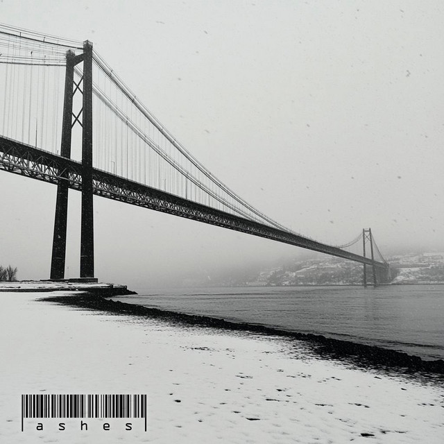 Ashes cover art