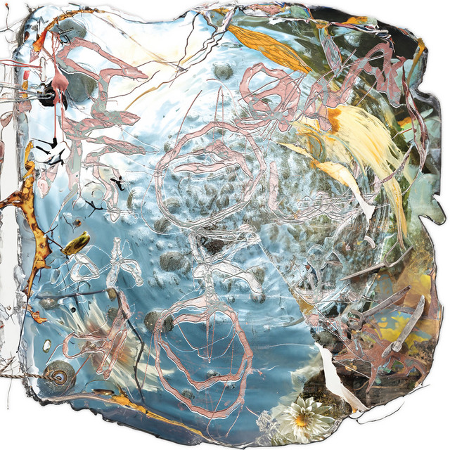Contingency/Necessity (Modality of Fate) cover art