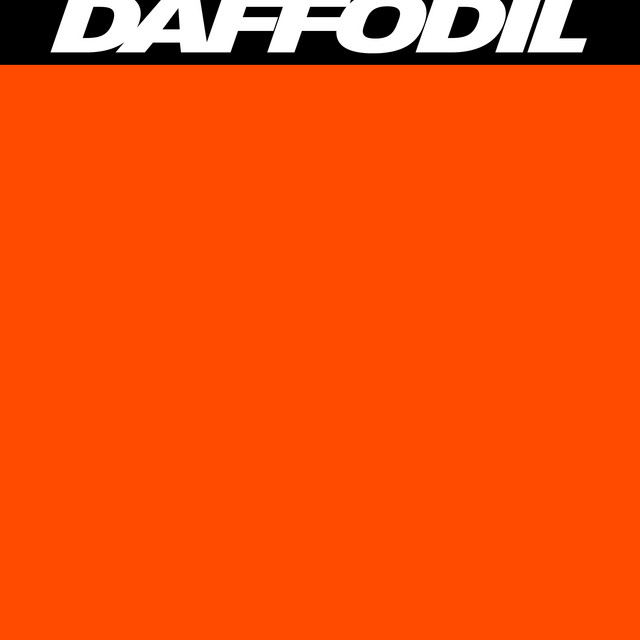 daffodil