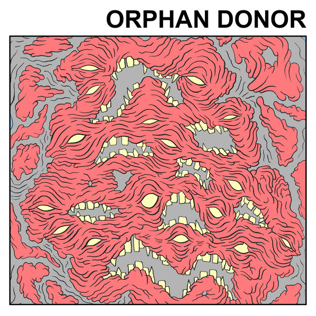 Orphan Donor cover art