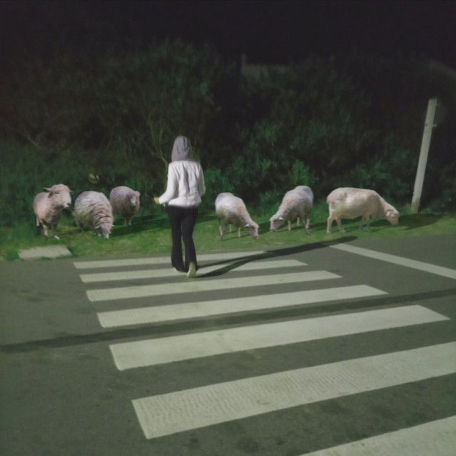 Efecto rebaño - song and lyrics by Alpuin | Spotify