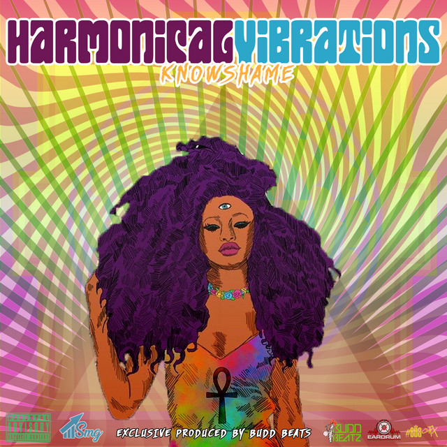 The Intro cover art