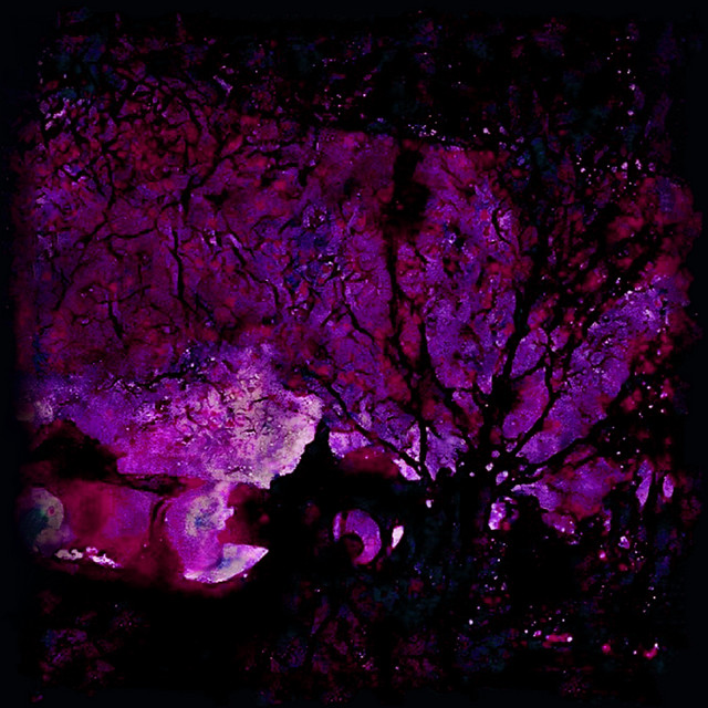 ditch cover art