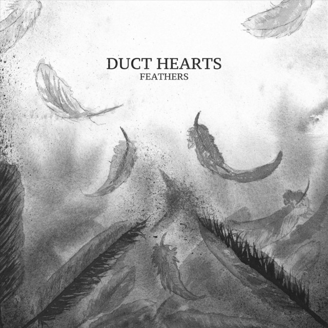 Feathers cover art