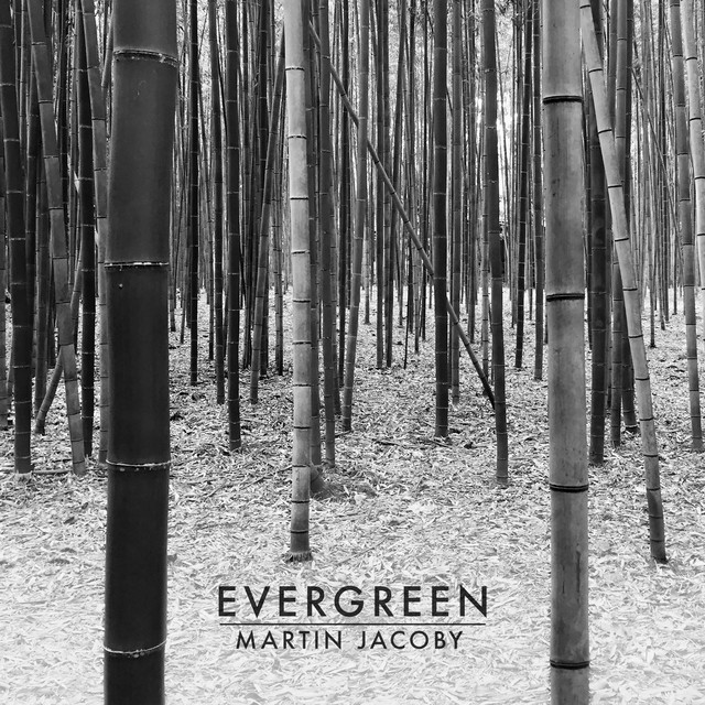 Evergreen cover art