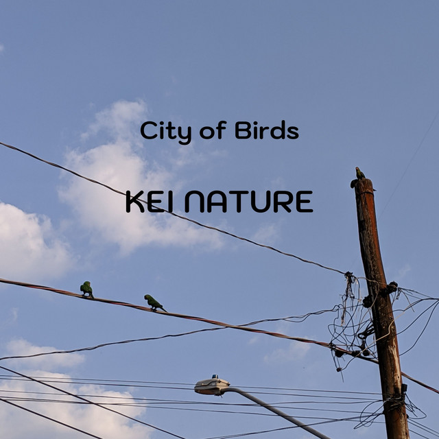 City of Birds cover art