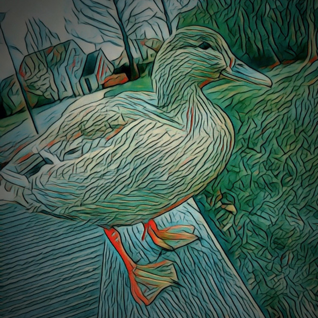 Swanky John cover