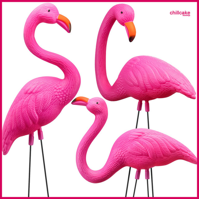 Обкладинка: Flamingo — Fr3n3my