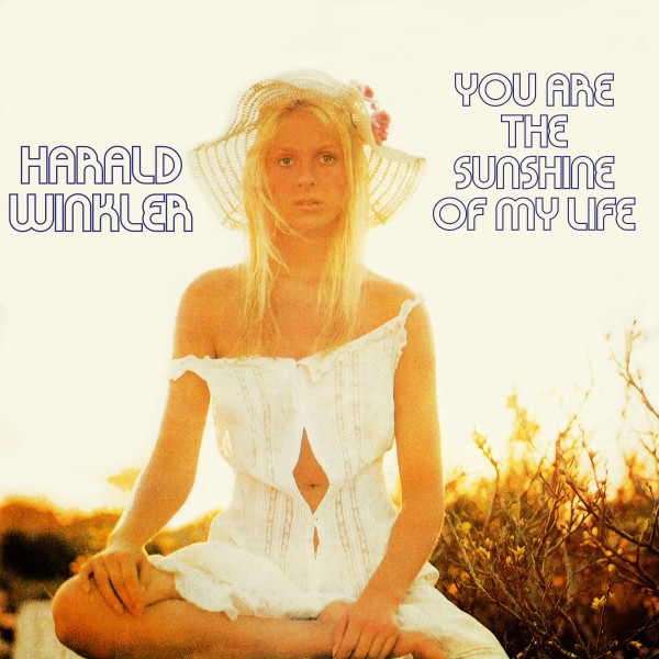You Are The Sunshine Of My Life cover