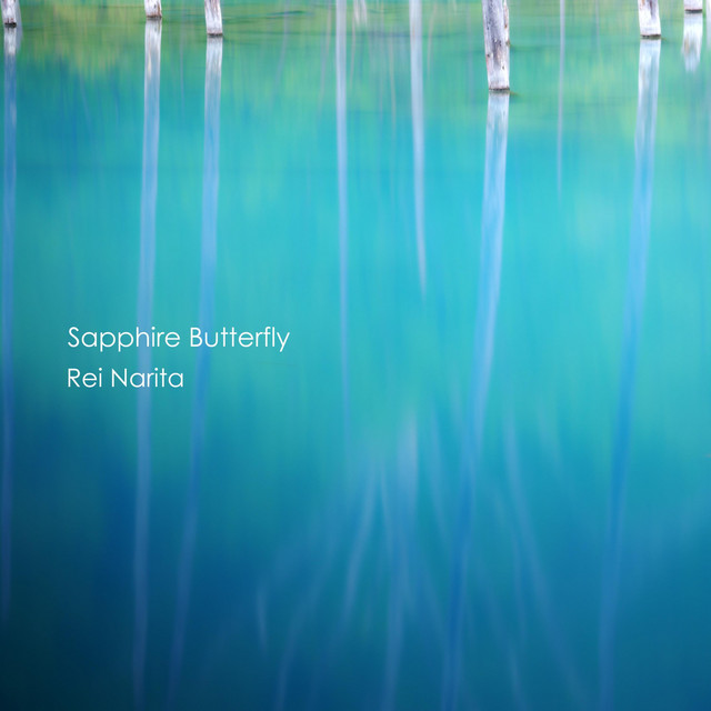 Sapphire Butterfly