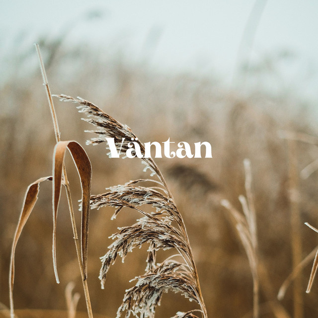Väntan