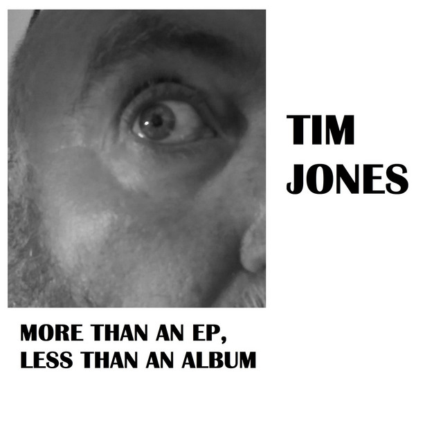 More Than an EP, Less Than an Album cover art