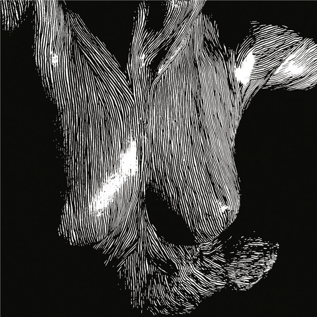 Omslag för Self Preserved While Bodies Float Up av Oceansize