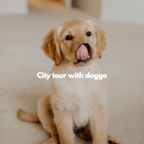 City tour with doggo cover art