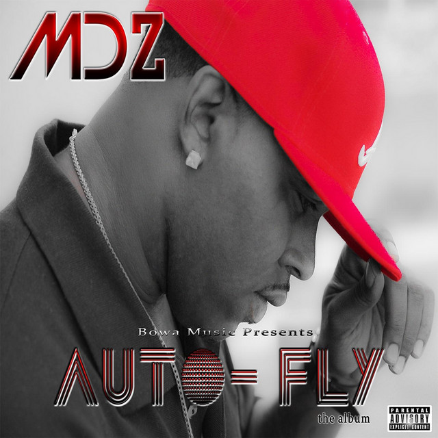 Auto Fly cover art