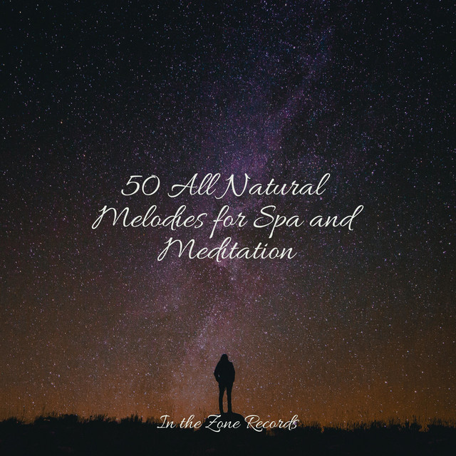 50 All Natural Melodies for Spa and Meditation - Album by Thunderstorm ...