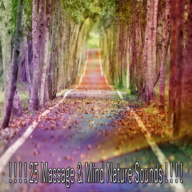 25 Massage & Mind Nature Sounds ! ! ! ! - Album by Sounds of Nature ...