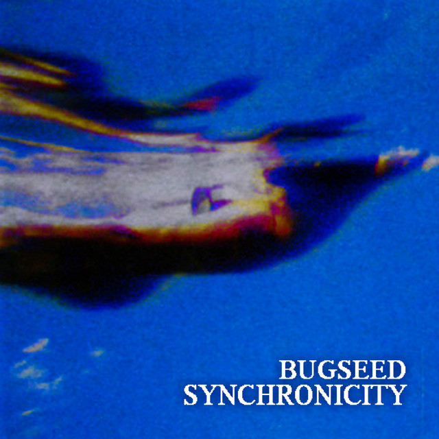 Synchronicty cover art