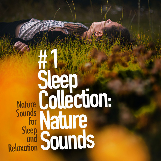 # 1 Sleep Collection: Nature Sounds - Album by Nature Sounds for Sleep ...