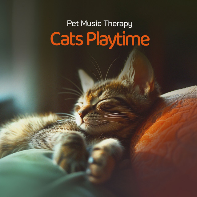 Cats Playtime cover art