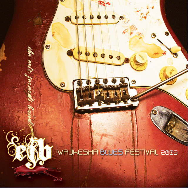 Waukesha Blues Festival cover art