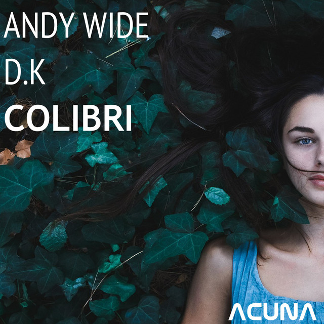 Colibri - Single by Andy Wide | Spotify