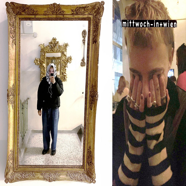 mittwoch-in+wien cover art