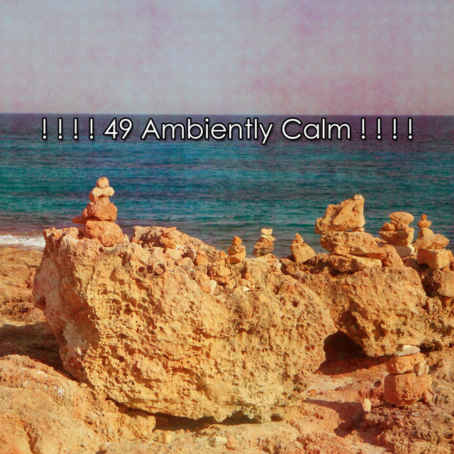 ! ! ! ! 49 Ambiently Calm ! ! ! ! cover art