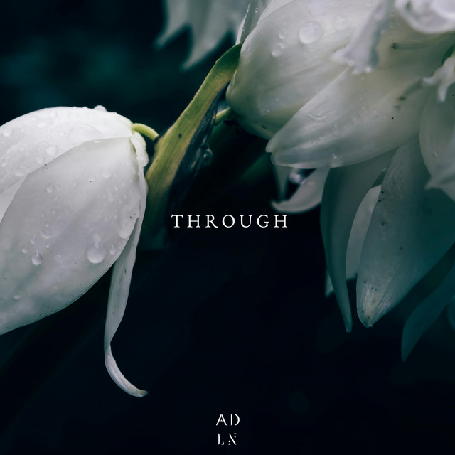 Through cover
