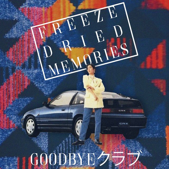 Freeze Dried Memories cover