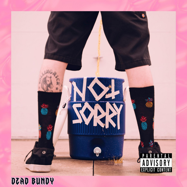 Not Sorry cover art