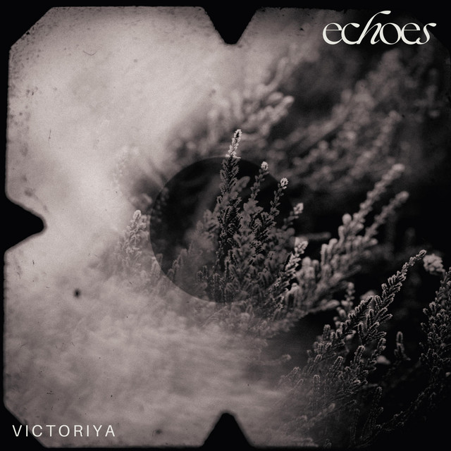 Echoes cover