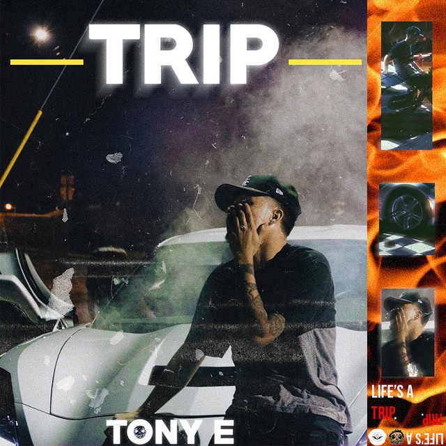 TRIP cover art