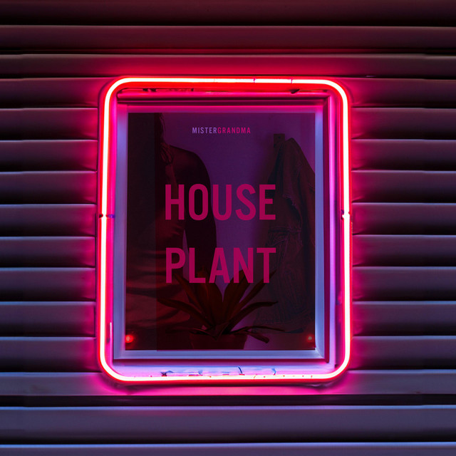 HOUSEPLANT cover art