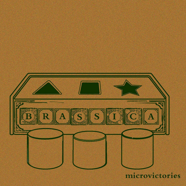 Microvictories cover art