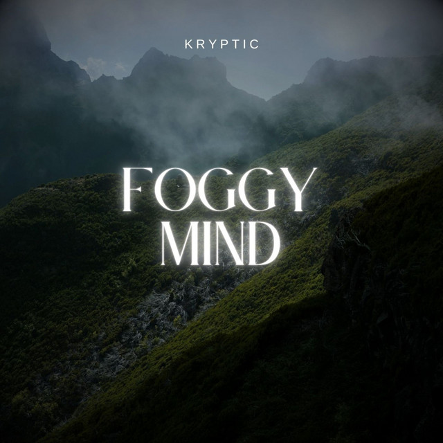 Foggy Mind - Radio Edit - song and lyrics by Kryptic | Spotify