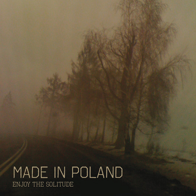 Enjoy The Solitude cover art