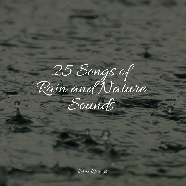 25 Songs of Rain and Nature Sounds - Album by Sleep Makers Samples ...