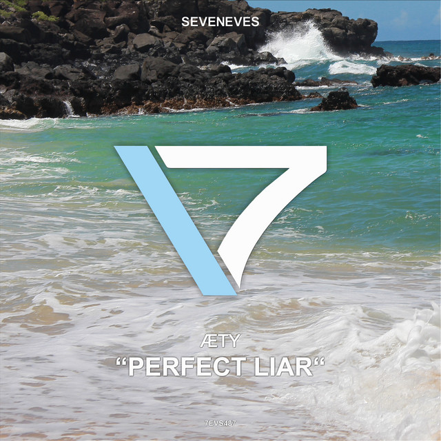 Perfect Liar