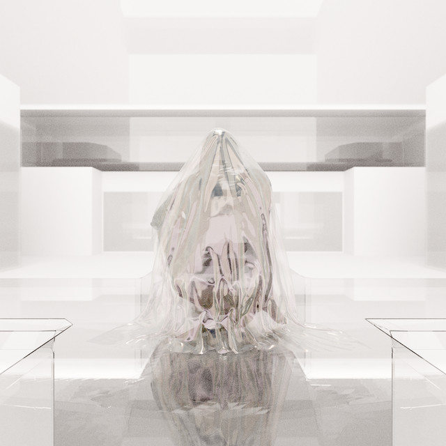 Polymer Veil cover art